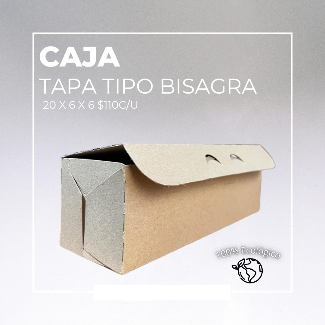 Caja tapa bisagra